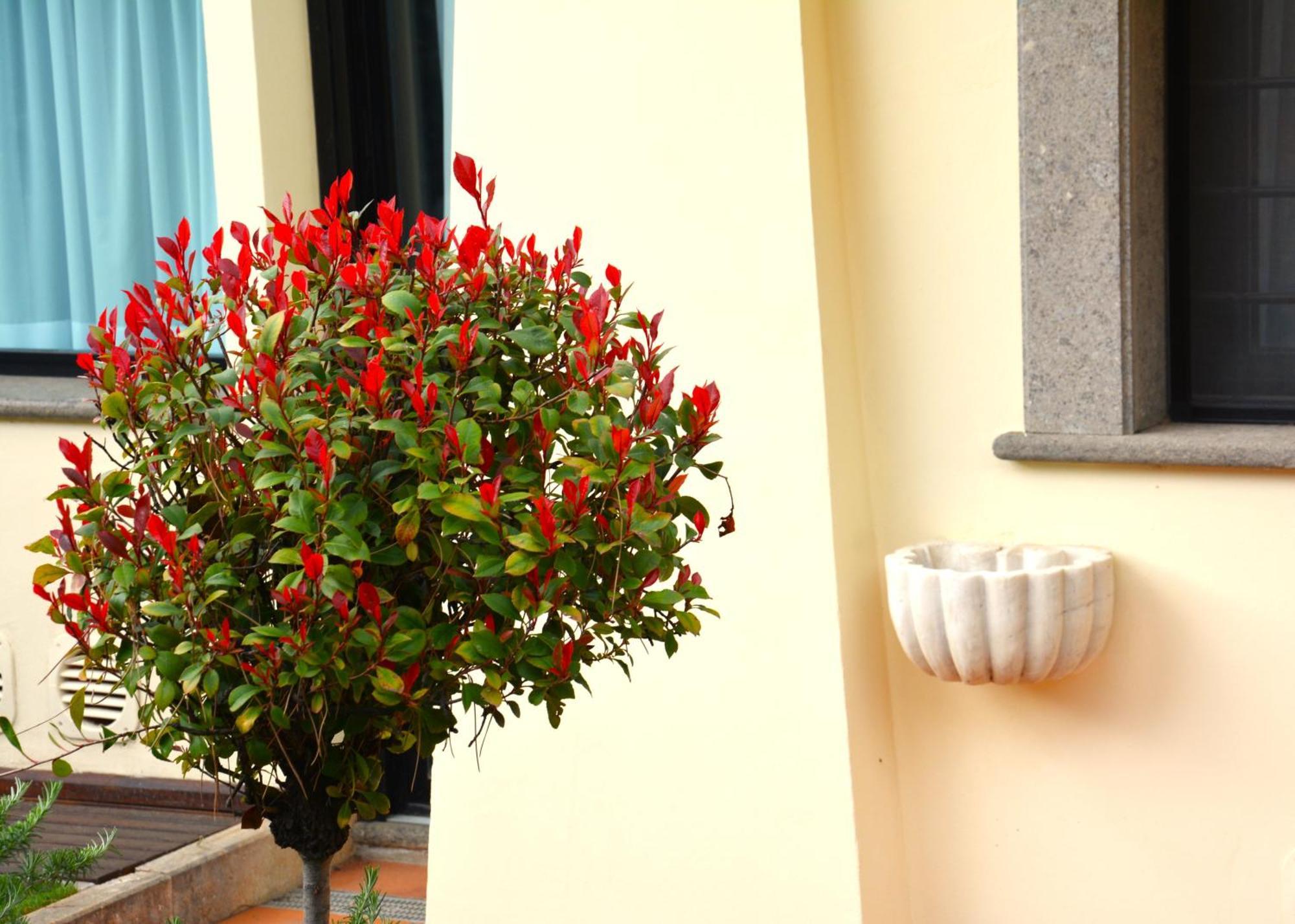 Gemelli Hotel Rome Exterior photo